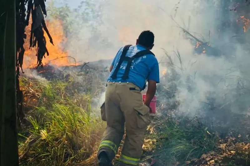 Bomberos del estado combate fuego en colonia Buenos Aires