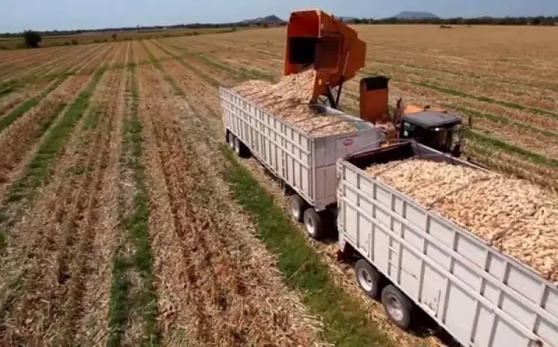 La tradición de vivir sin trabajar