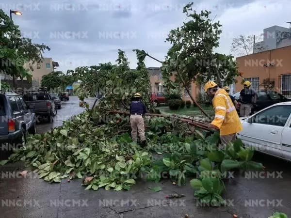 Dejó tormenta daños en Bahía de Banderas