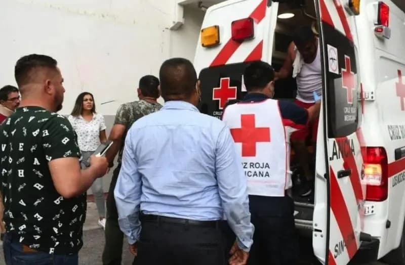 Ahome. Ataque de abejas deja cinco personas lesionadas