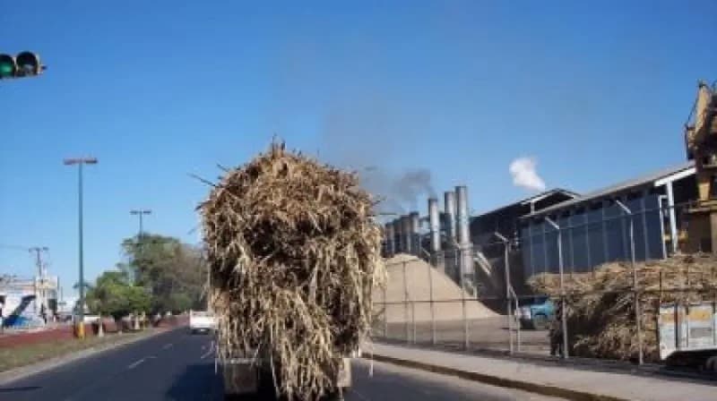 Concluye zafra en Ingenio el Molino con buenos resultados: Guzmán