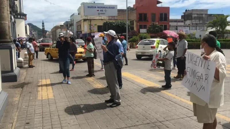 Nayarit. Exigen fumigación en toda la entidad ante repunte de casos de dengue