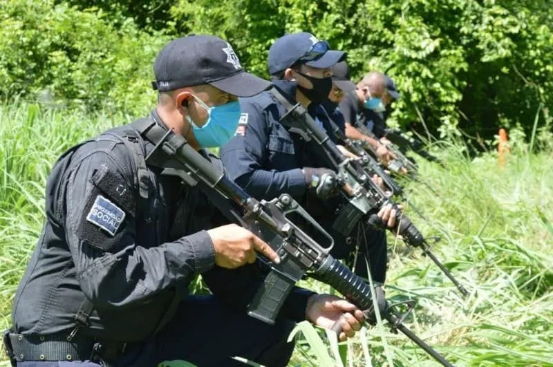 Modelo nacional de policía y justicia en el estado