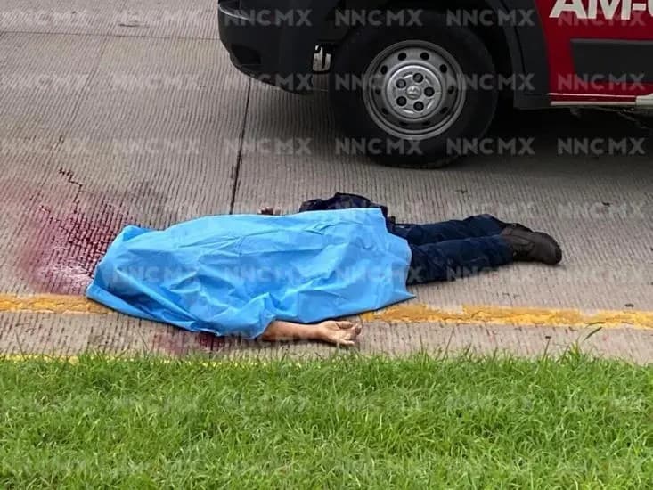 Bahía de Banderas. Lo mató camioneta a la altura de El Tizate