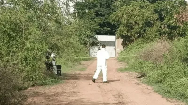 Culiacán. Llaman a denunciar desapariciones antes de que suceda una tragedia