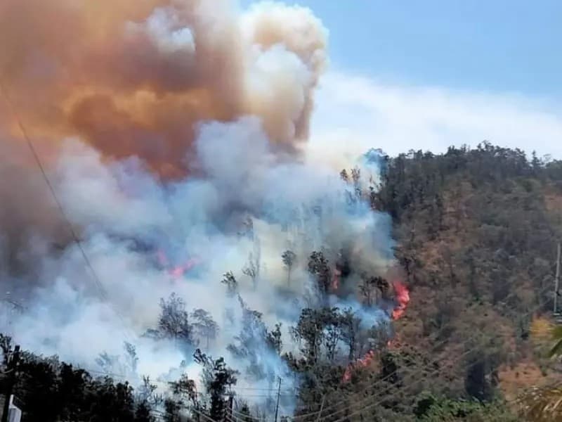 Llaman a firmar petición para salvar el cerro de San Juan