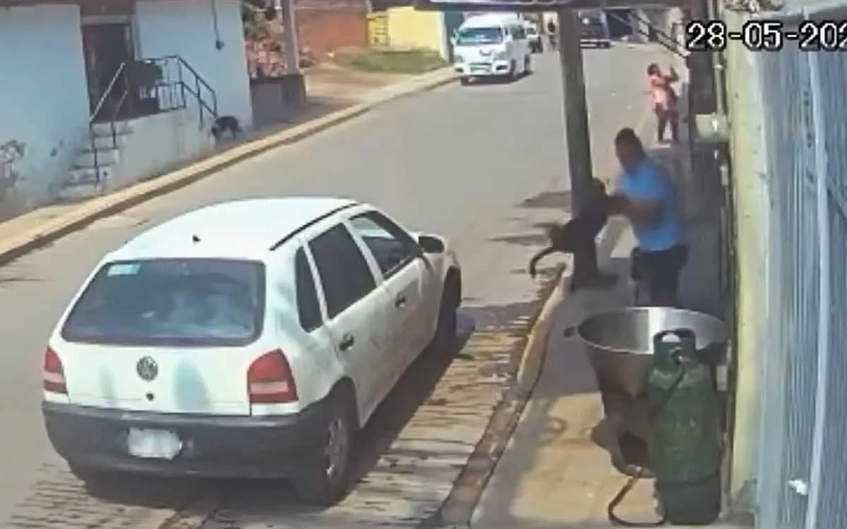 Buscan a sujeto que arrojó a perro a cazo de aceite hirviendo