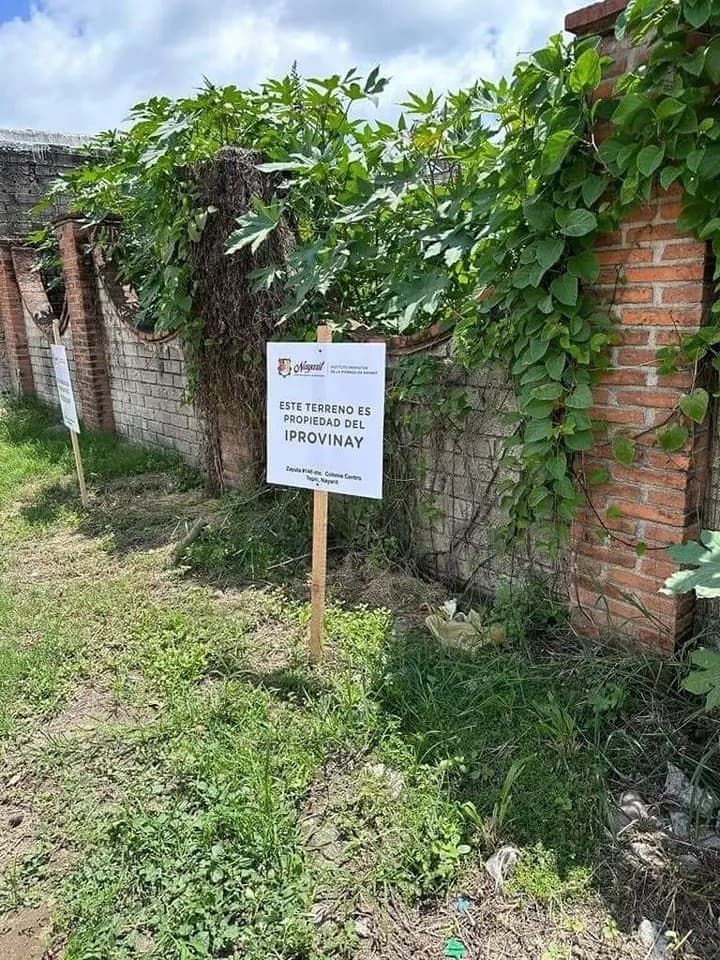 Recupera IPROVINAY terrenos irregulares en San Blas