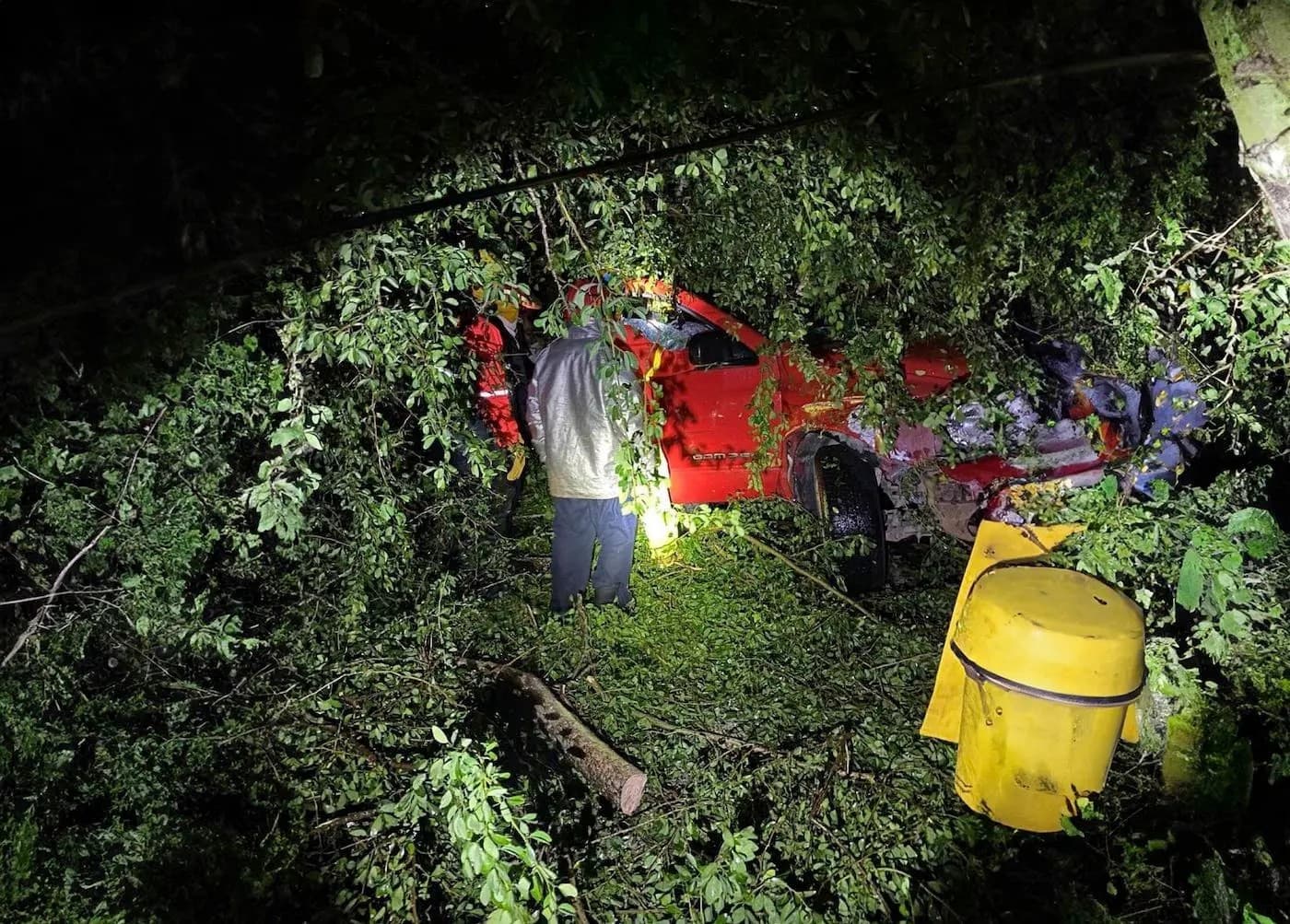Cobra Lidia su primera víctima mortal en Bahía de Banderas