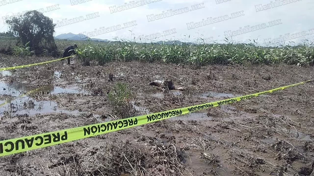 Brota cadáver en Acaponeta