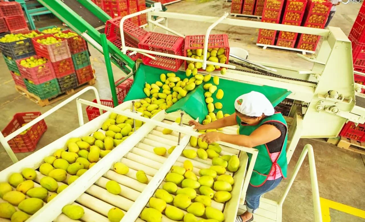 Aporta campo y pesca sólo 7% del PIB