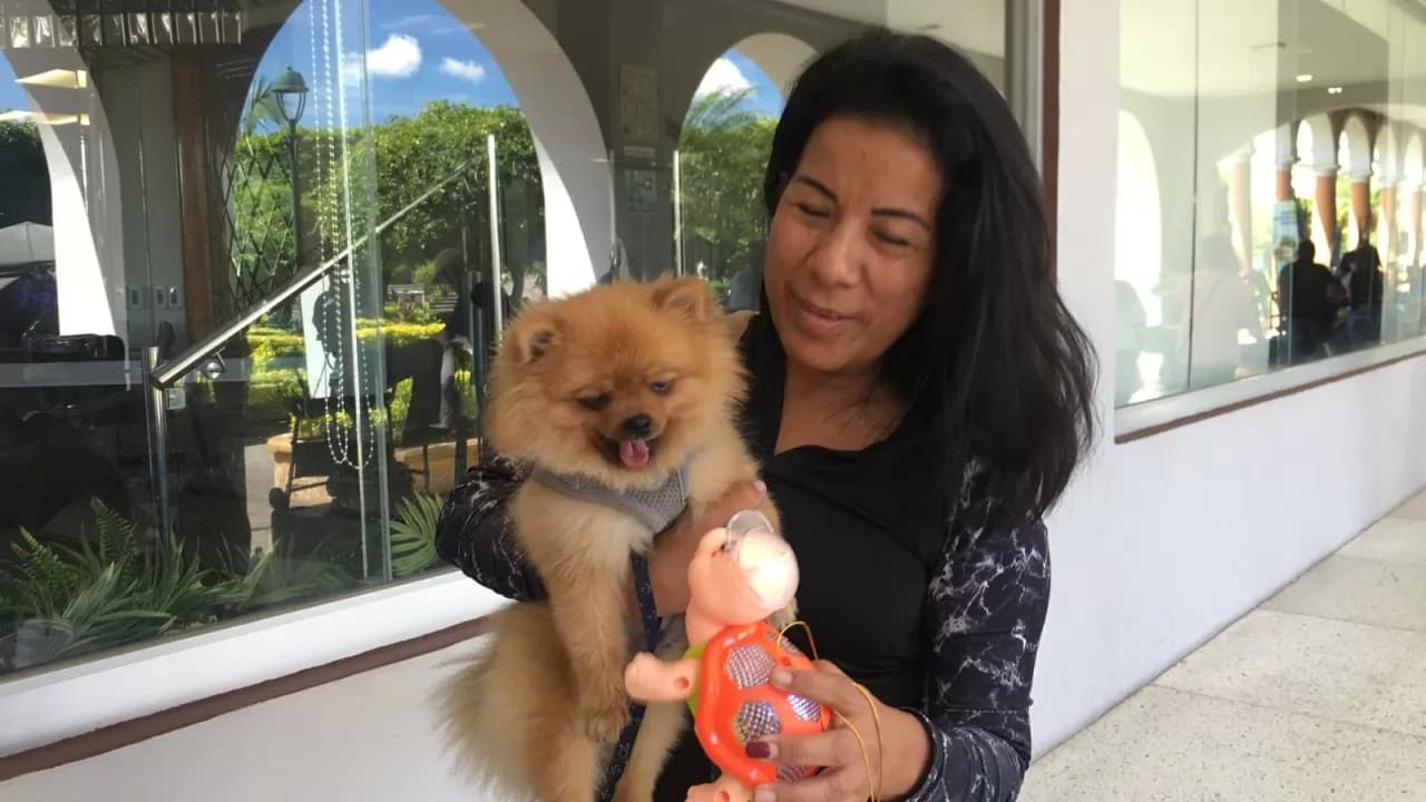 Urgen en Tepic hoteles \"pet friendly\"