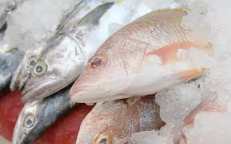 Nayarit, segundo productor de liseta