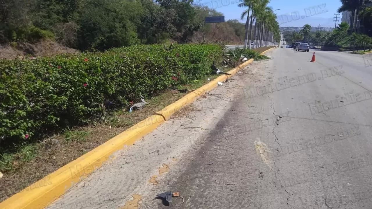 Se le “atravesó” una palmera en bucerias