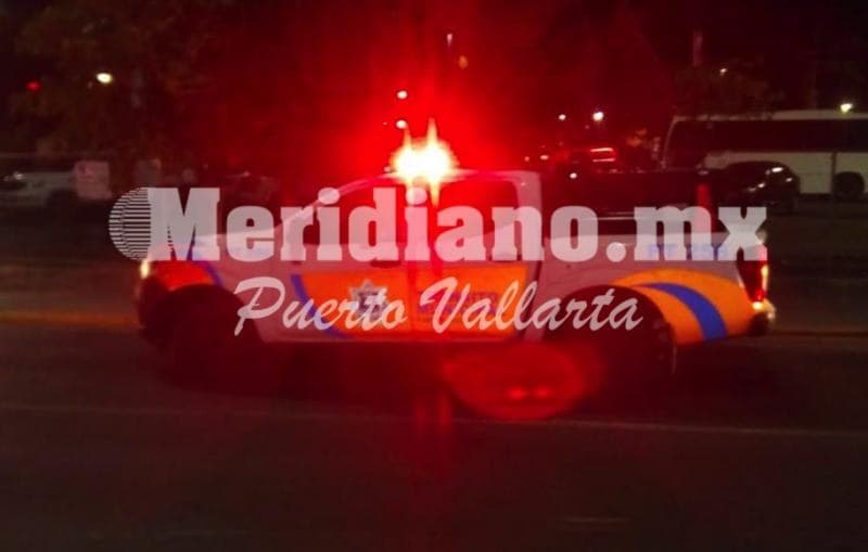 Frente a plaza marina…  ¡capturaron un cocodrilo!