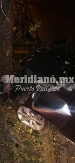 En valle dorado…  ¡choco con un arbol!