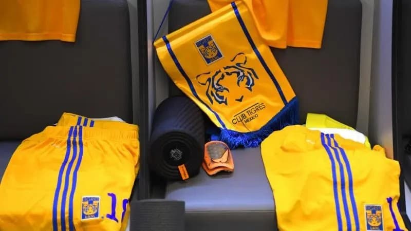 La UANL habría pagado millones en gastos de Tigres pese a privatización del club