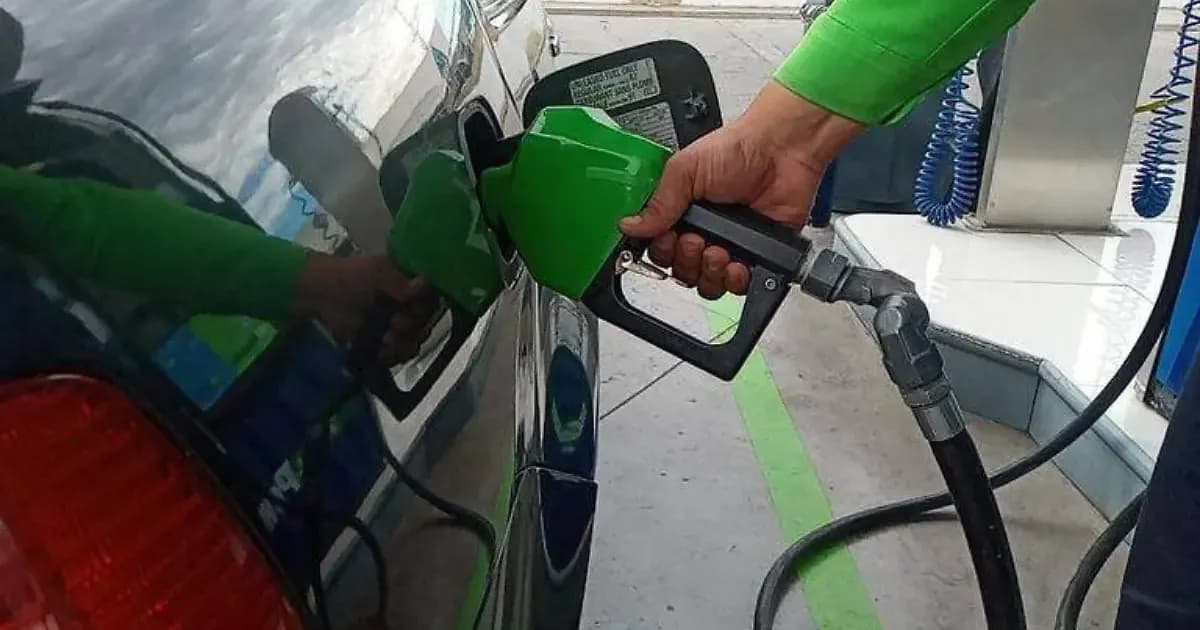 Estos son los vehículos que pueden usar de la verde, como lo recomendó la Presidenta de México