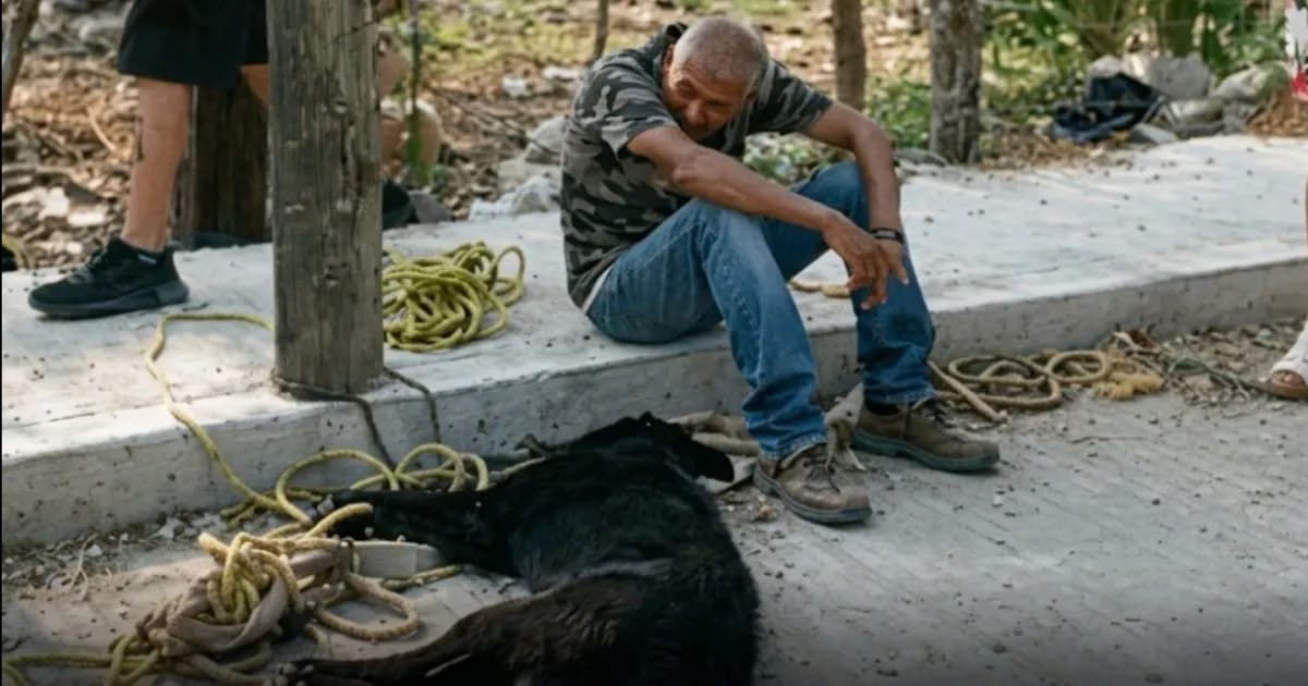Perrito muere asfixiado durante operativo de Protección Civil en Ciudad Valles, SLP