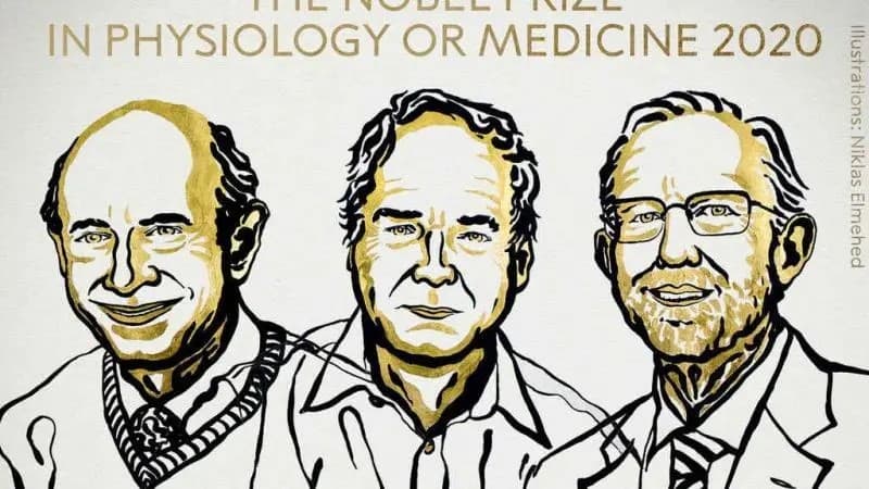 Fue otorgado el Premio Nobel de Medicina a tres investigadores tras el descubrimiento del virus de la hepatitis C