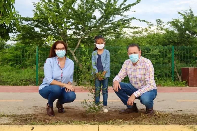 Más de 4 mil árboles reforestados en Bahía de Banderas