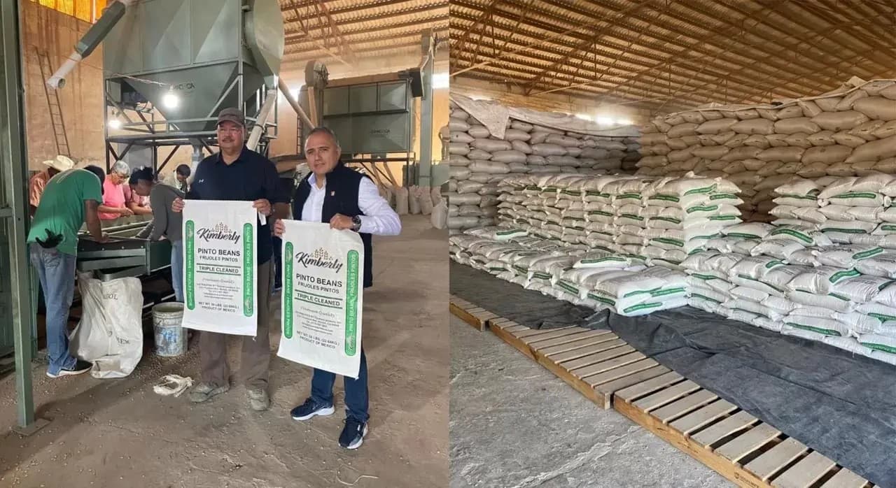 Nayarit comercializa frijol a Estados Unidos