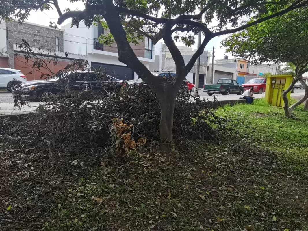 Lamentan indiferencia del Ayuntamiento de Geraldine Ponce