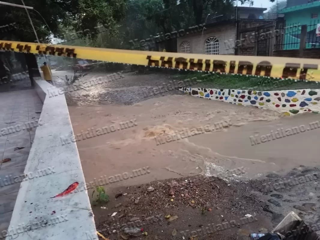 Árboles caídos, inundaciones y vehículo arrastrados dejó la fuerte tormenta