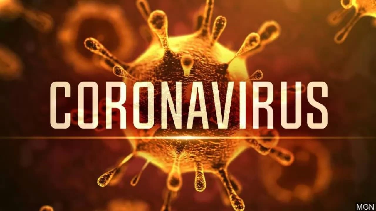 El peligroso aliado del coronavirus seríamos nosotros