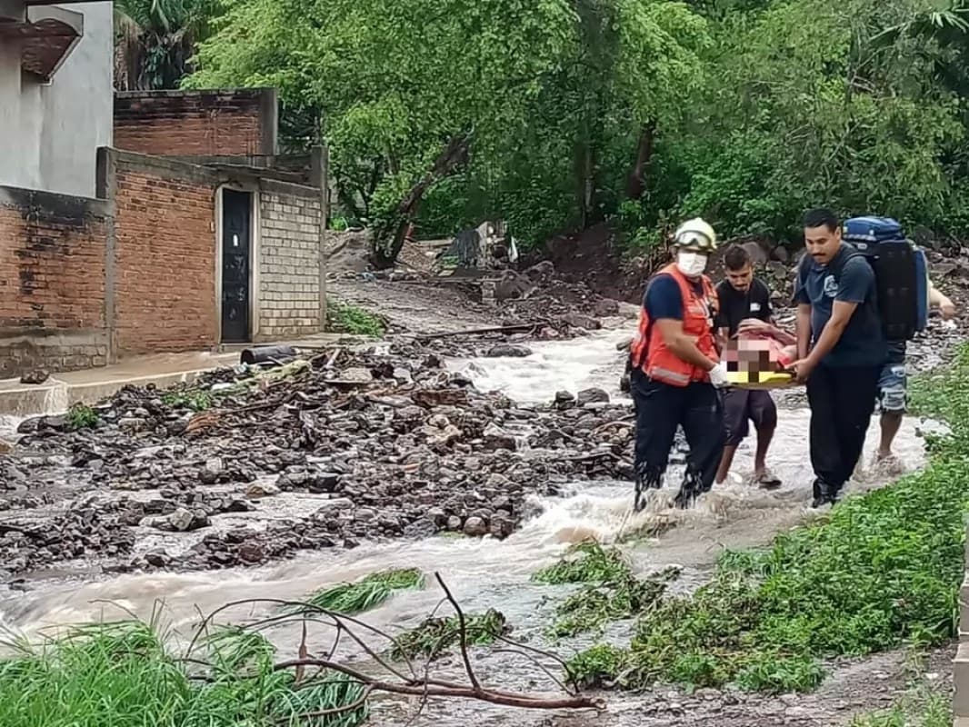 Cae barda sobre una persona en Los Ayala