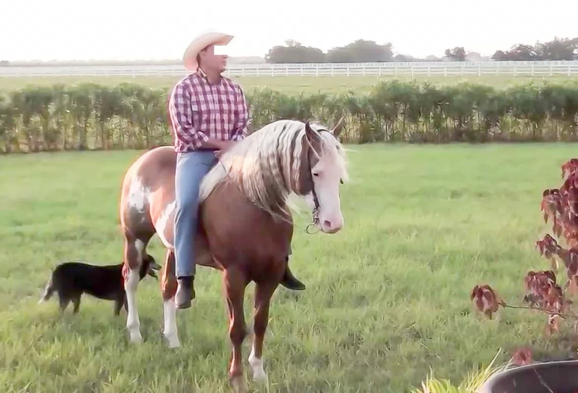 Falsificó documentos para apropiarse de El Ensueño