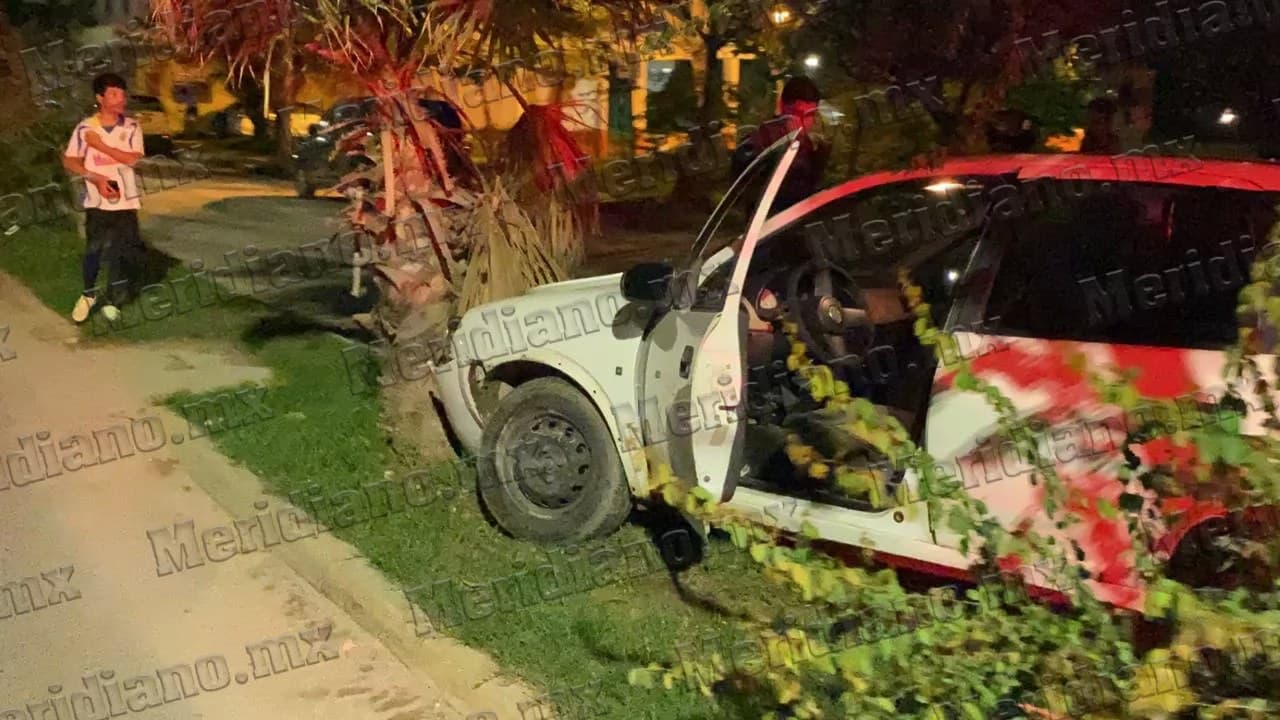 ¡chevy chocó con palmera!