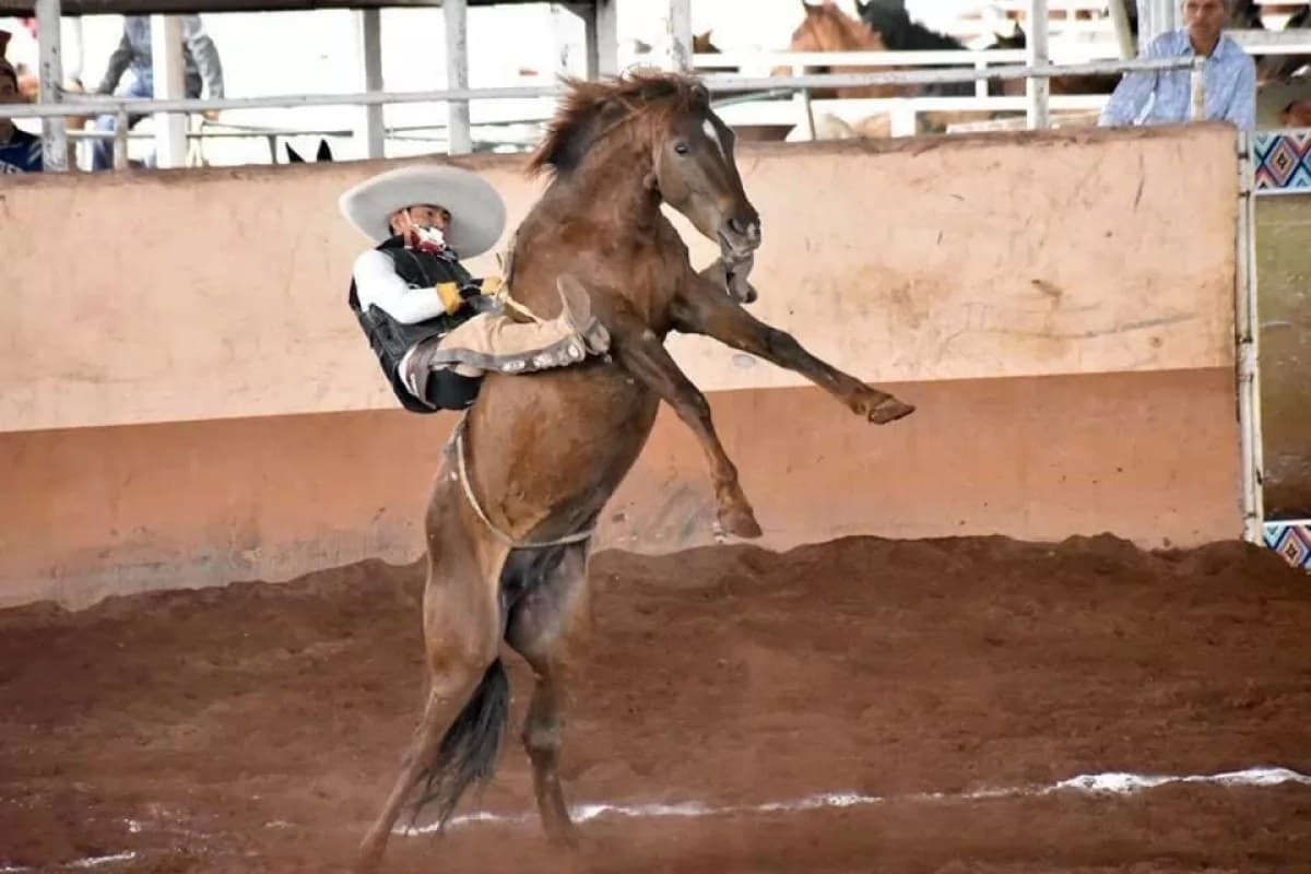 El equipo nayaritas de Puente de Camotlán “A” quedó a un pial de la completa