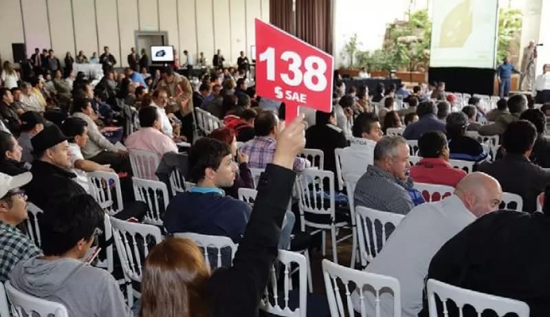 Obtiene INDEP más de 14 mdp con venta de piezas de automóviles e inmuebles