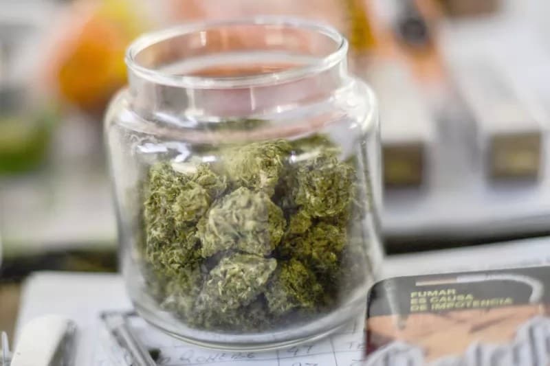 Aprueban despenalizar uso lúdico de la marihuana