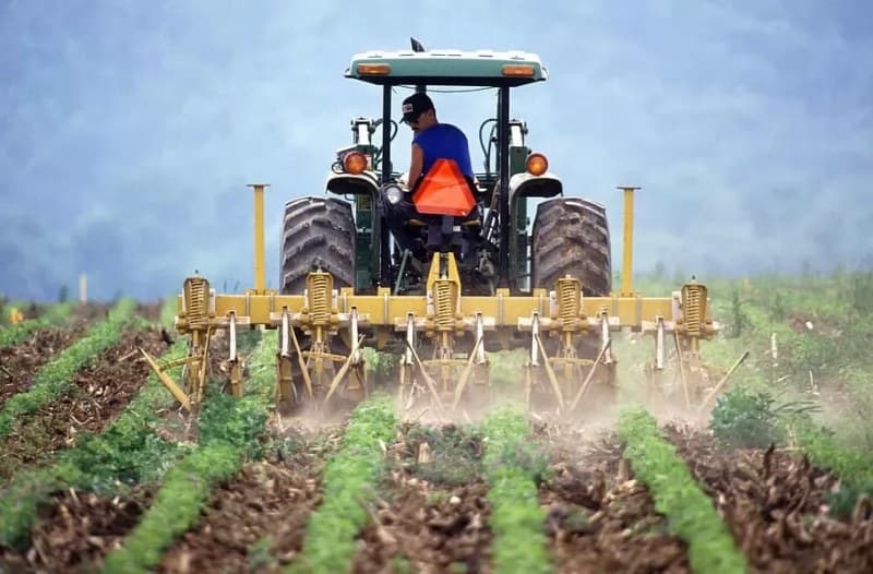 Denuncia México incumplimiento de leyes laborales en Estados Unidos