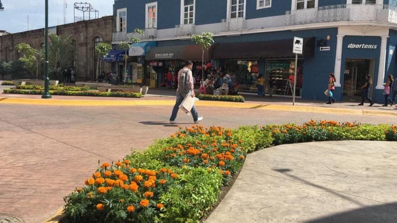 Tepic. Adornan con flor de Cempasúchil espacios públicos