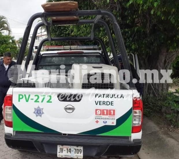 En fraccionamiento cipreses… ¡perro bravo atacó a un niño!