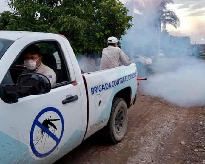 Casos de dengue continúan incrementándose en Nayarit