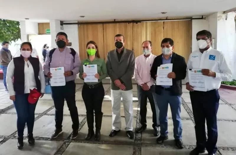 Morena, PT, PVEM y Nueva Alianza repartirán candidaturas por encuesta