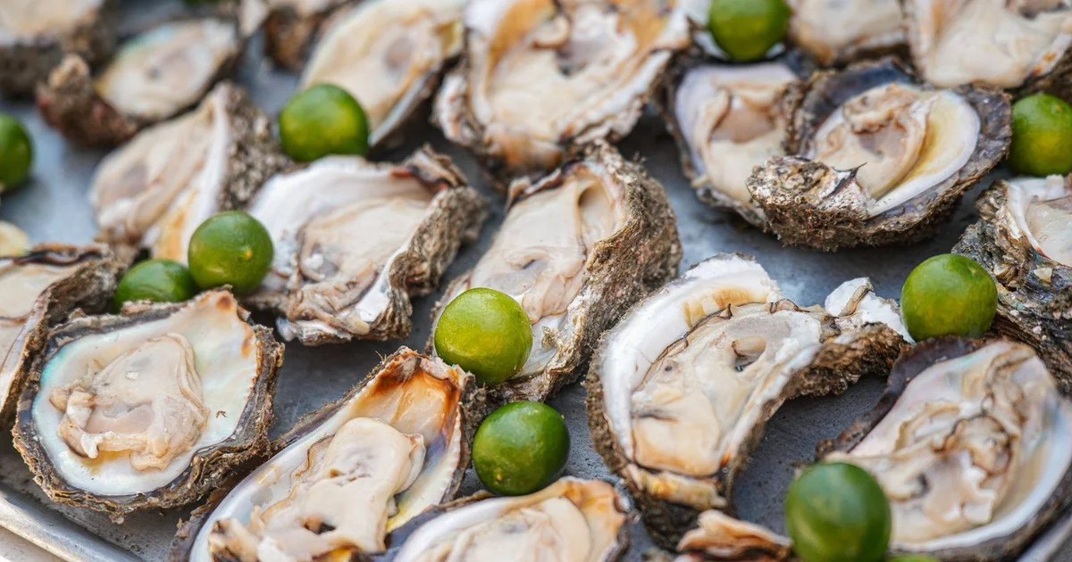 Bucerías recibe el Festival Nacional del Ostión con expectativas récord