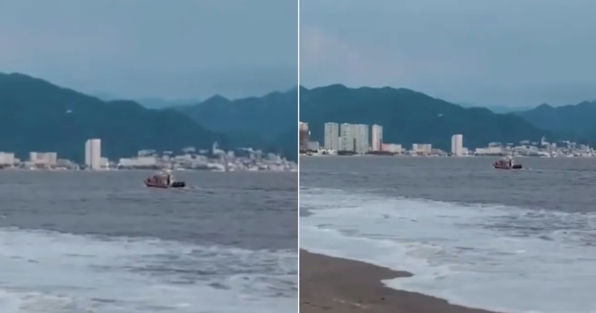 Cocodrilo ataca y arrastra al mar a turista de 28 años en Puerto Vallarta