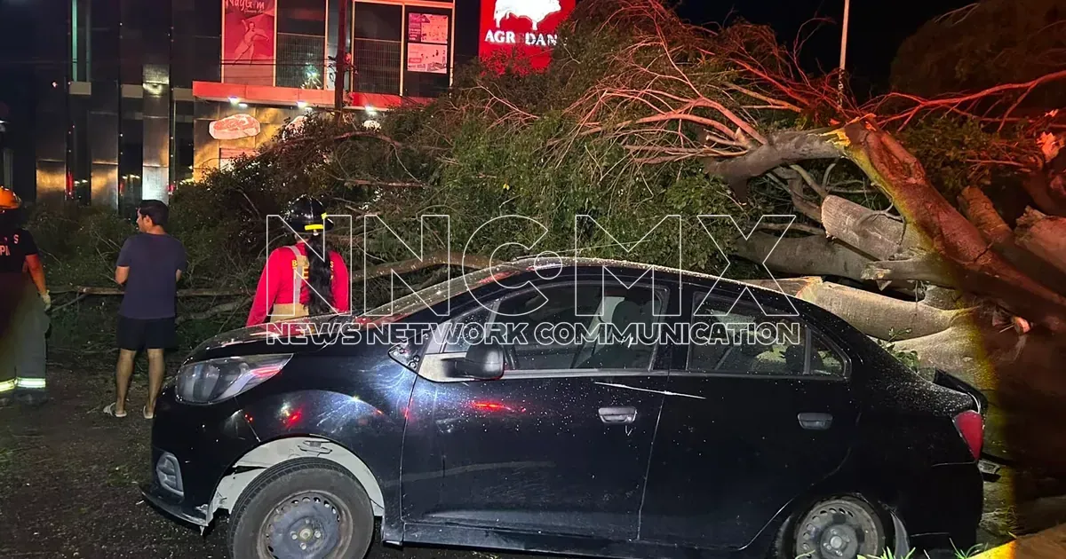 Árboles caídos por lluvia dañan tres vehículos y dejan tres heridos en colonia Infonavit el Mirador, Tepic