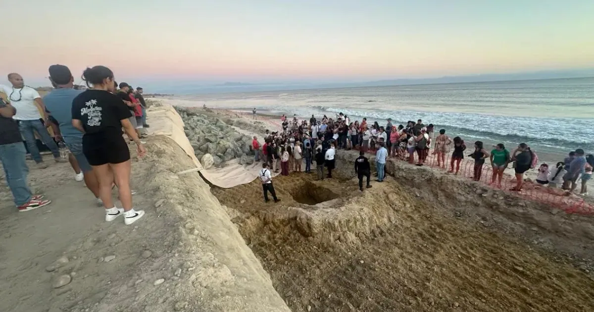 Nayarit en la cuerda floja entre ecología e inversión en Playa Las Cocinas