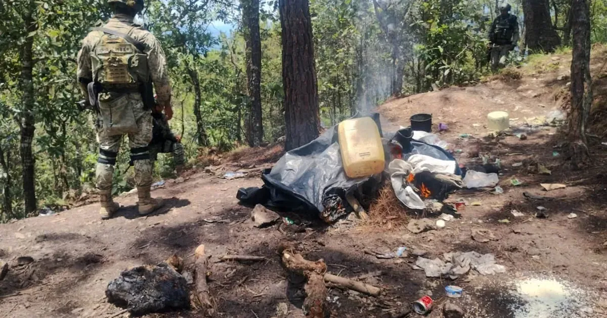 Operativo en Nayarit: arsenal, tragamonedas y domicilio asegurados