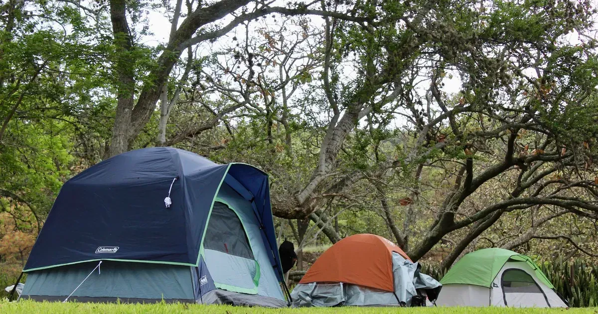 Bosque La Primavera llega a 40 campamentos de educación ambiental en Jalisco