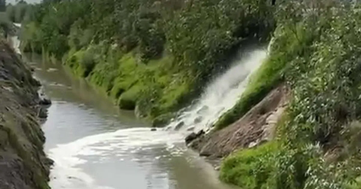 Jalisco investiga descargas ilegales en Las Pintas por agua turbia en la ZMG