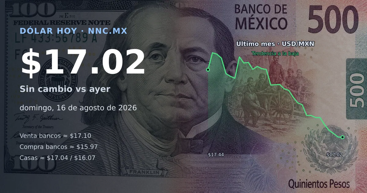 Así cotiza el precio del dólar hoy domingo 16 de agosto de 2026 en México