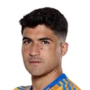 Rostro de N. Ibáñez