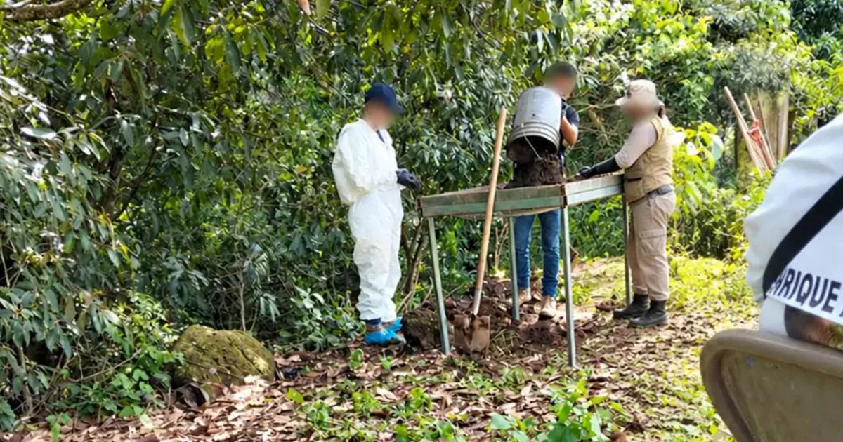 La Curva, Xalisco: sin cifra de víctimas tras 9 días de búsqueda